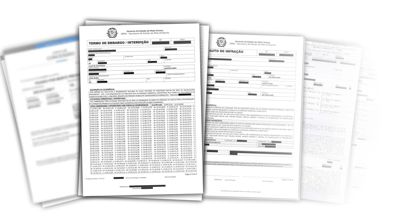 Documentos e processos